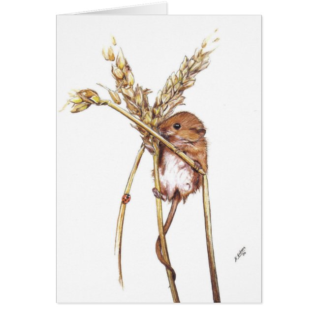 カヤネズミ (正面)