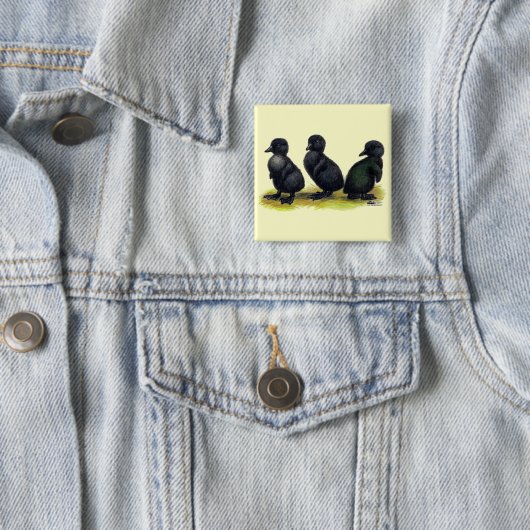 カユガの幼鳥 缶バッジ (インサイチュ)