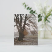 カユガ湖スチュワートパーク ポストカード (スタンド正面)