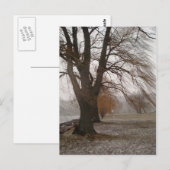 カユガ湖スチュワートパーク ポストカード (正面/裏面)