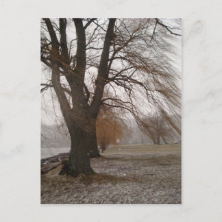 カユガ湖スチュワートパーク ポストカード