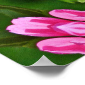 カライドスコープ アスター ポスター (角)