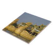 カラウェイクホールはヤンゴンの目印で、場所は タイル (側面)