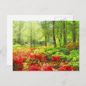 カラウェイツツツツツツジ ポストカード (正面/裏面)