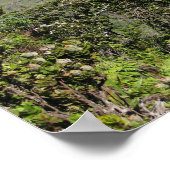 カラウバレー、カウアイ、ハワイ ポスター (角)