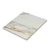 カラカッタ大理石模様3 タイル (側面)