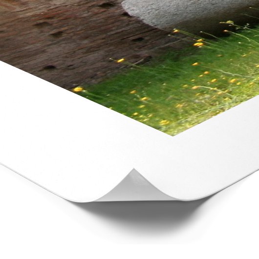 カラカラ風呂 ポスター (角)