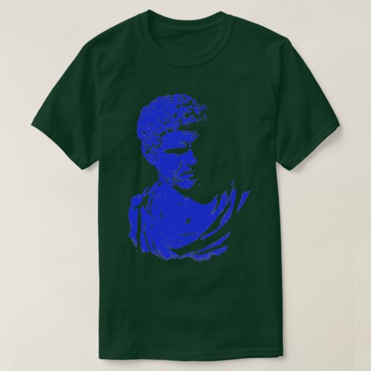 カラカラ Tシャツ (デザイン正面)