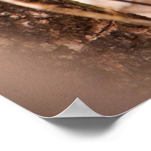 カラカルキットン ポスター (角)