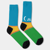 カラカルパクスタンの旗 ソックス (右)