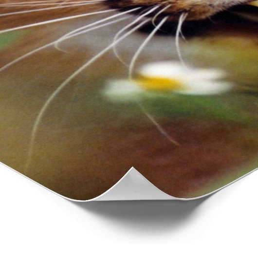 カラカルヒシン ポスター (角)