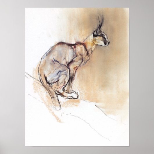 カラカル2009年着席 ポスター (正面)