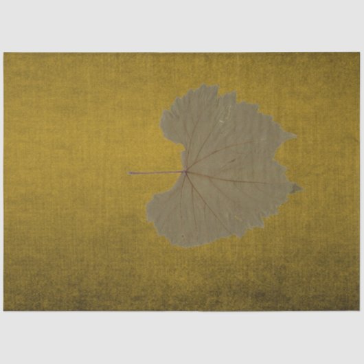 カラシの上の灰色の乾燥した動揺して葉 薄葉紙 (正面)