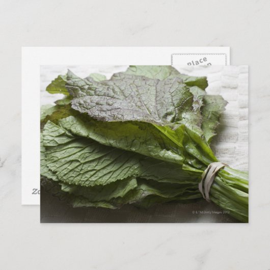 カラシの新緑の束は、農家から ポストカード (正面/裏面)