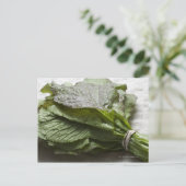 カラシの新緑の束は、農家から ポストカード (スタンド正面)