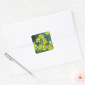 カラシの花 ステッカーシート 20枚 3.8 x 3.8 cm スクエアシール (封筒)