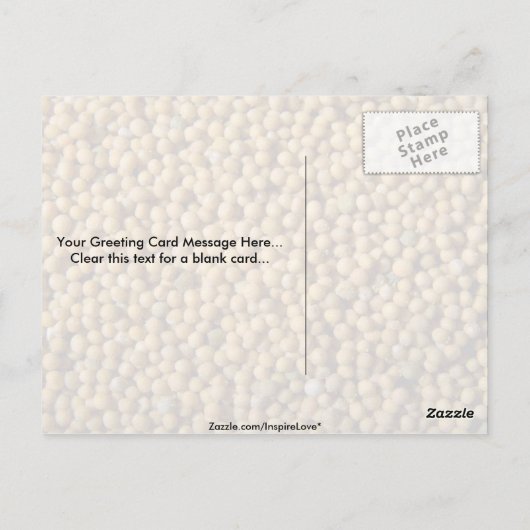 カラシ種子 ポストカード (裏面)