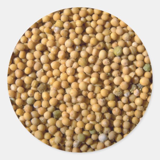 カラシ種子 ラウンドシール (正面)