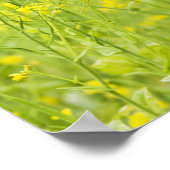 カラシ2 ポスター (角)