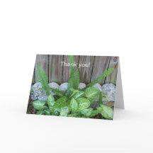 カラジウムとシダの自然な配置