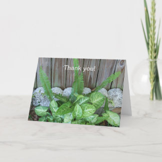 カラジウムとシダの自然な配置 サンキューカード
