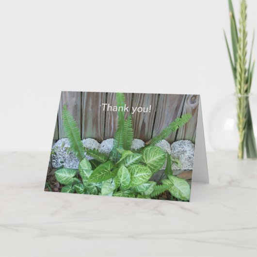 カラジウムとシダの自然な配置 サンキューカード (正面)