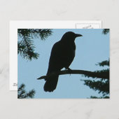 カラスが木に座る ポストカード (正面/裏面)