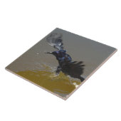 カラスが水タイルに飛び散る タイル (側面)