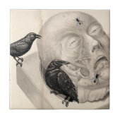 カラスと死体 タイル (正面)