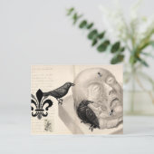 カラスと死体 ポストカード (スタンド正面)