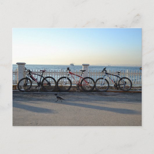 カラスのある自転車 ポストカード (正面)