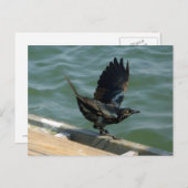 カラスのカスタマイズ ポストカード (正面/裏面)