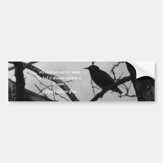 カラスのバンパーステッカー バンパーステッカー (正面)