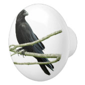 カラスの引出しのノブ セラミックノブ (右)