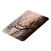 カラスの木， 1822 マグネット (左側)