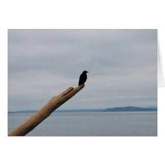 カラスの歩哨