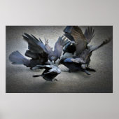 カラスの踊り ポスター (正面)