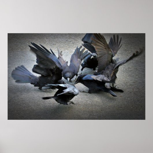 カラスの踊り ポスター (正面)