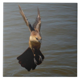 カラスの鳥が水飛んでいるタイルの上に鳴く タイル