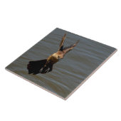 カラスの鳥が水飛んでいるタイルの上に鳴く タイル (側面)