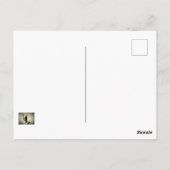 カラスはがき ポストカード (裏面)