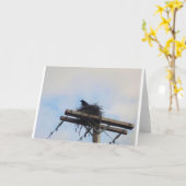 カラスネストインAK カード (黄色い花)