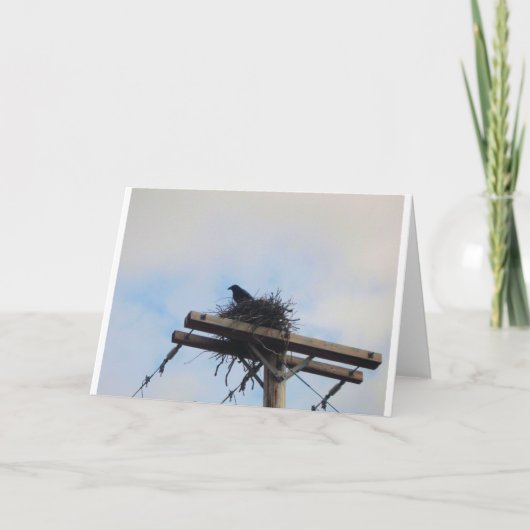 カラスネストインAK カード (正面)