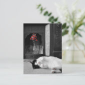 カラスプラッシュネコ ポストカード (スタンド正面)