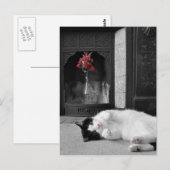 カラスプラッシュネコ ポストカード (正面/裏面)