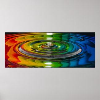 カラスプラッシュ ポスター