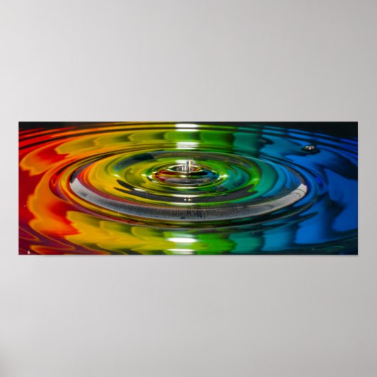 カラスプラッシュ ポスター (正面)