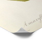 カラスムラサク ポスター (角)