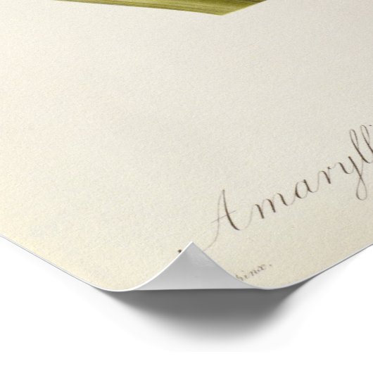 カラスムラサク ポスター (角)