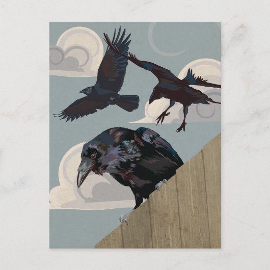カラス侵入 ポストカード (正面)